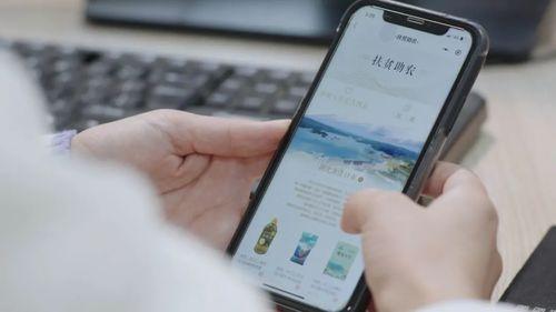 揭秘電商小程序開發流程：從定制到上線的全過程